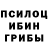 Галлюциногенные грибы мицелий Franek Pompka