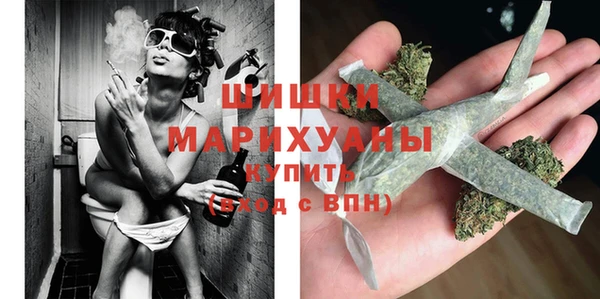 молекула духа Белокуриха